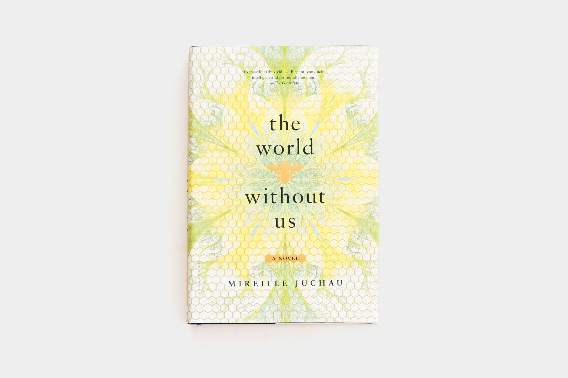 The World Within Us by Mireille Juchau